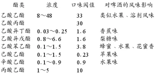 精釀啤酒設(shè)備,啤酒廠設(shè)備,開辦啤酒廠,發(fā)酵,錐形罐
